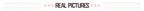 Oversized Letter Jacquard Knit Pullover for Women